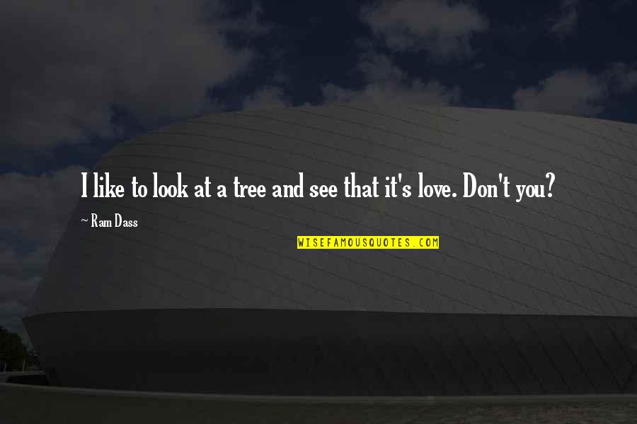 Love Is Like Nature Quotes By Ram Dass: I like to look at a tree and