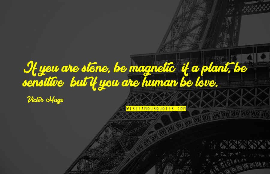 Love Is Magnetic Quotes By Victor Hugo: If you are stone, be magnetic; if a