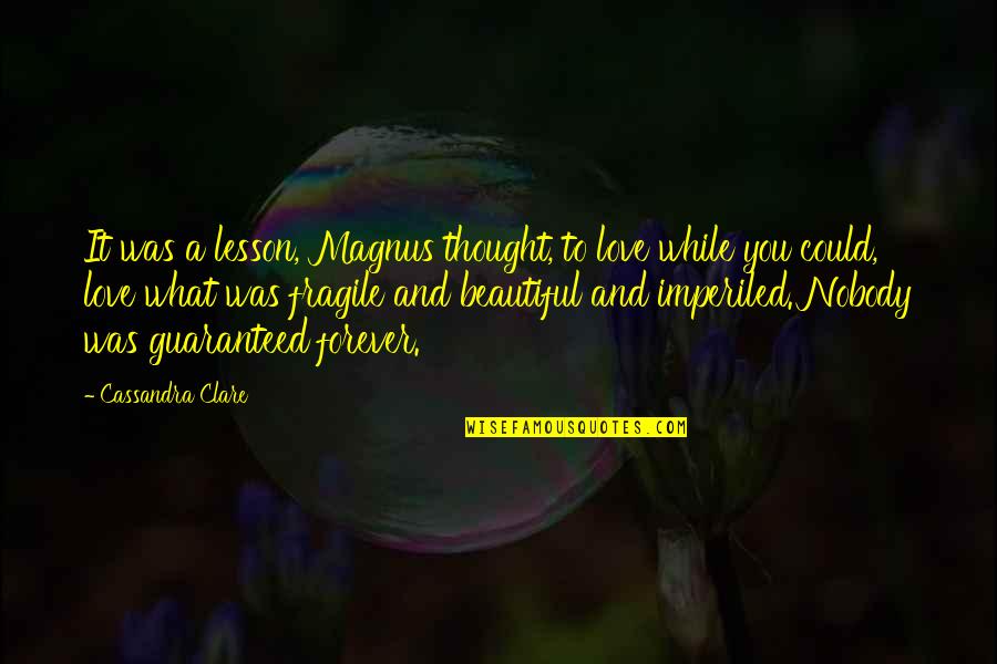 Love Is Not Guaranteed Quotes By Cassandra Clare: It was a lesson, Magnus thought, to love Love Is Not Guaranteed Quotes By Cassandra Clare: It was a lesson, Magnus thought, to love