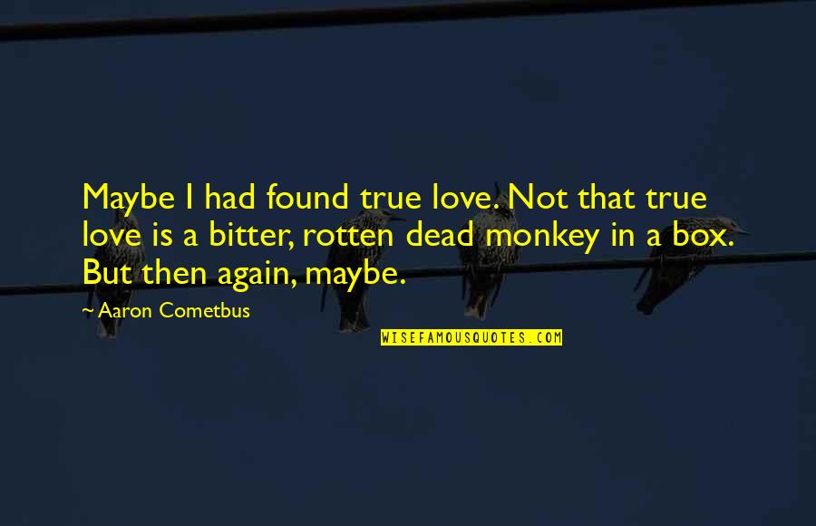 Love Is Not True Quotes By Aaron Cometbus: Maybe I had found true love. Not that