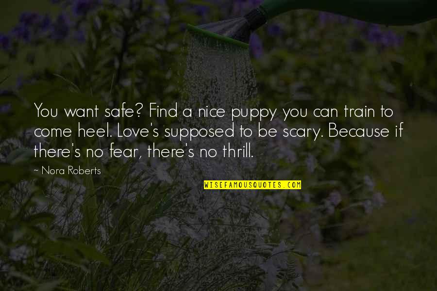 Love Is Nothing Without Trust Quotes By Nora Roberts: You want safe? Find a nice puppy you
