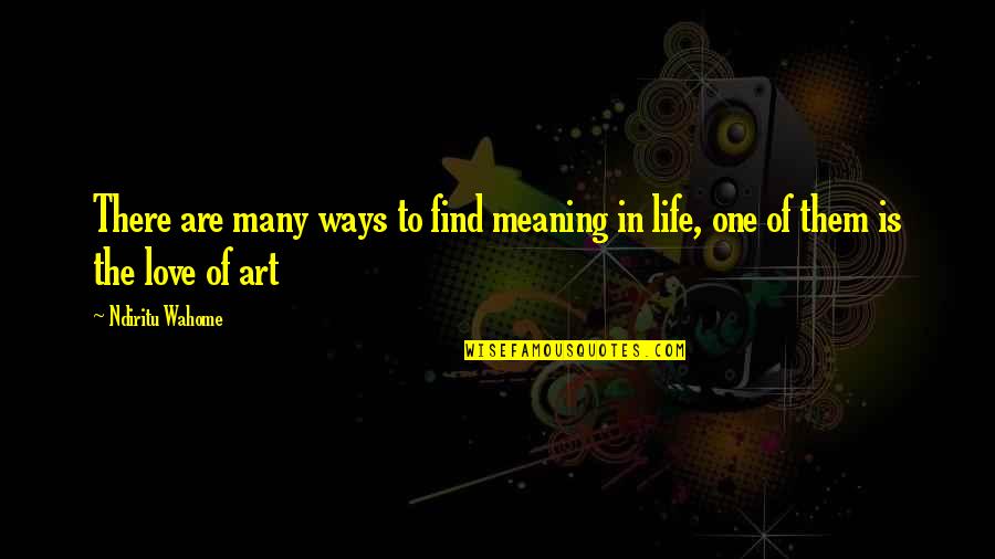 Love Is The Meaning Of Life Quotes By Ndiritu Wahome: There are many ways to find meaning in