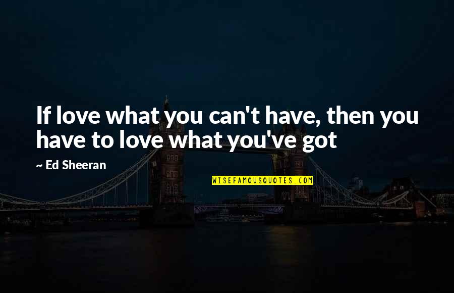 Love Is What I Got Quotes By Ed Sheeran: If love what you can't have, then you