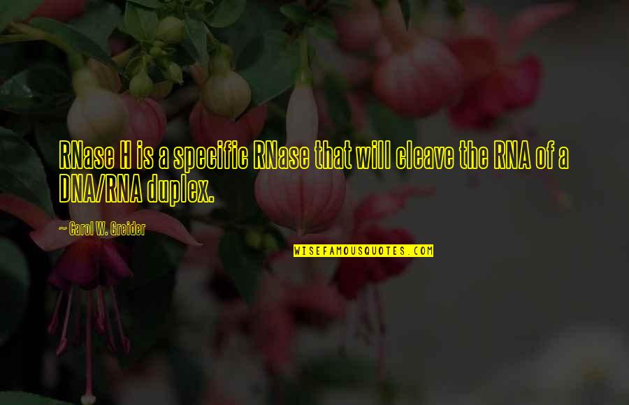 Love Jk Rowling Quotes By Carol W. Greider: RNase H is a specific RNase that will Love Jk Rowling Quotes By Carol W. Greider: RNase H is a specific RNase that will