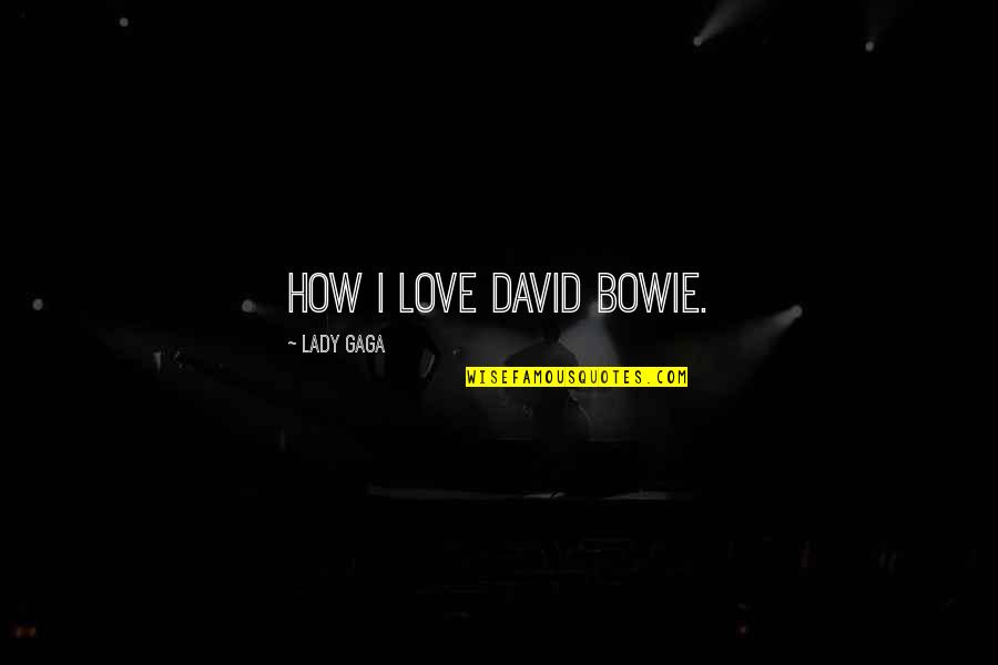 Love Lady Gaga Quotes By Lady Gaga: How I love David Bowie.