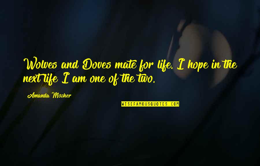 Love Life And Relationships Quotes By Amanda Mosher: Wolves and Doves mate for life. I hope