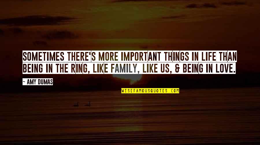 Love Like Family Quotes By Amy Dumas: Sometimes there's more important things in life than
