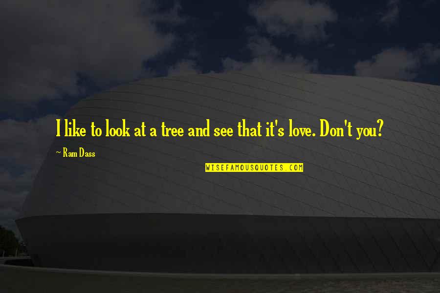 Love Like Tree Quotes By Ram Dass: I like to look at a tree and