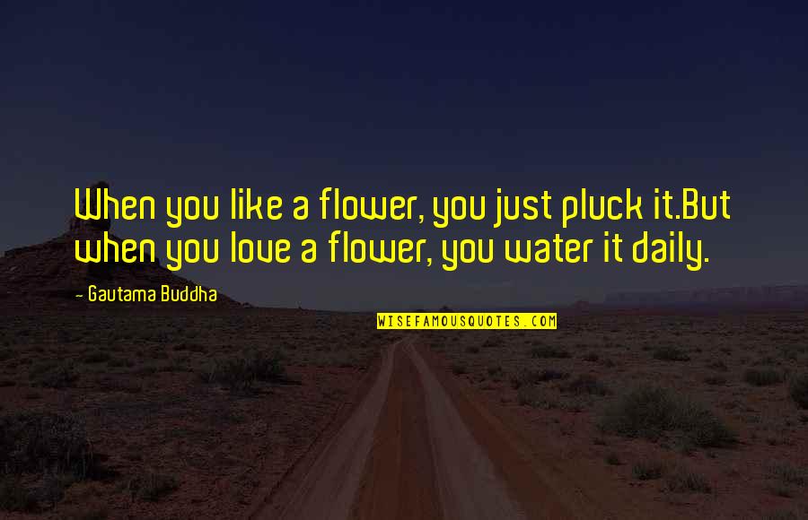 Love Like Water Quotes By Gautama Buddha: When you like a flower, you just pluck