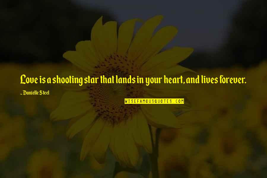 Love Lives On Forever Quotes By Danielle Steel: Love is a shooting star that lands in