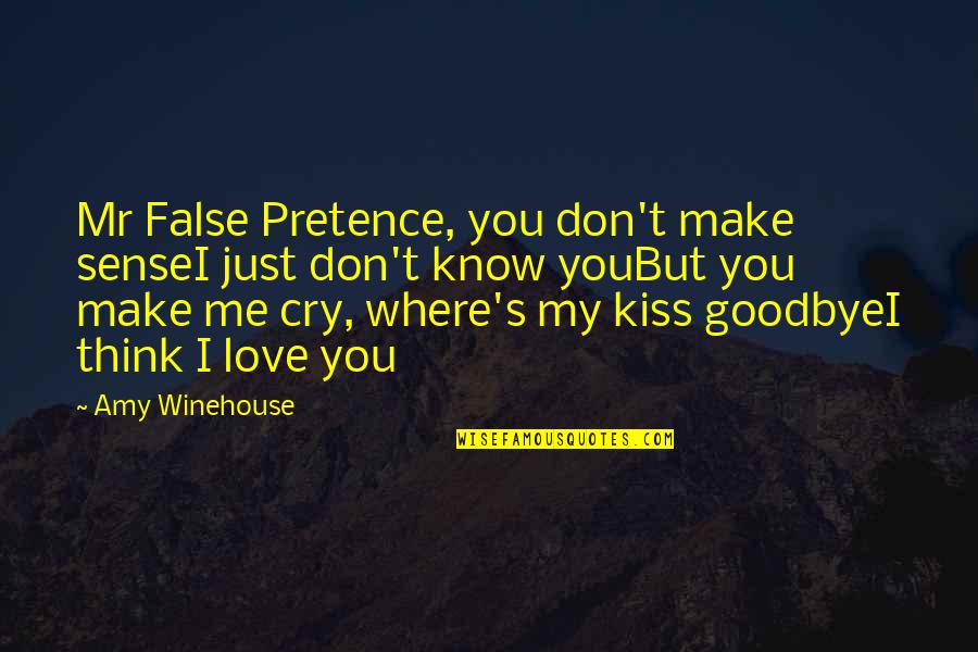 Love Make Me Cry Quotes By Amy Winehouse: Mr False Pretence, you don't make senseI just