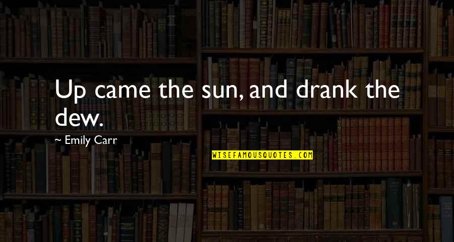 Love Making You A Better Person Quotes By Emily Carr: Up came the sun, and drank the dew.