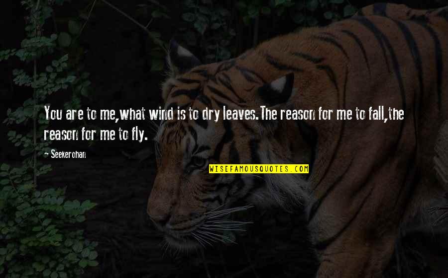 Love Me For Reason Quotes By Seekerohan: You are to me,what wind is to dry