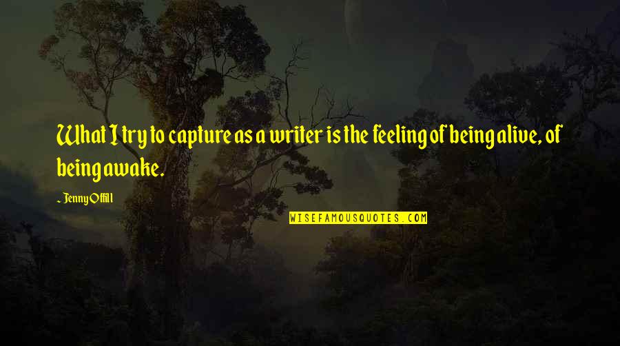 Love Me Like You Did Before Quotes By Jenny Offill: What I try to capture as a writer