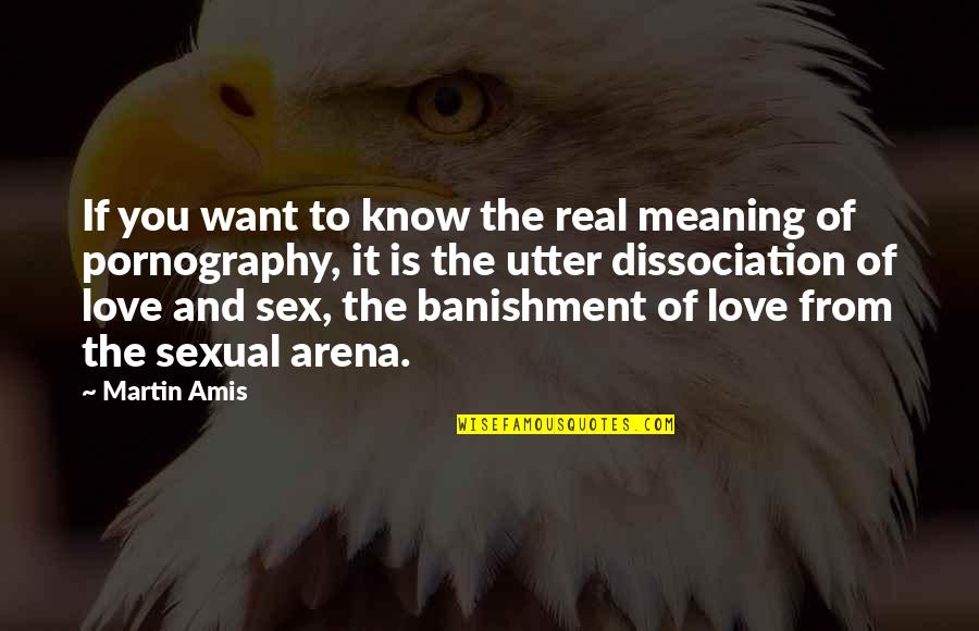Love Meaning And Quotes By Martin Amis: If you want to know the real meaning