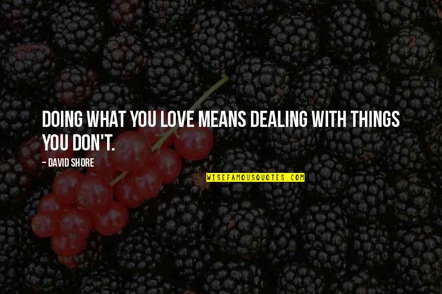 Love Means What Quotes By David Shore: Doing what you love means dealing with things