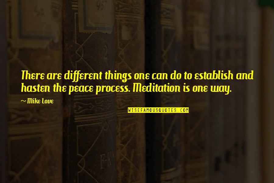 Love Meditation Quotes By Mike Love: There are different things one can do to Love Meditation Quotes By Mike Love: There are different things one can do to