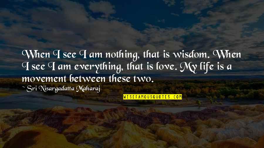 Love Movement Quotes By Sri Nisargadatta Maharaj: When I see I am nothing, that is