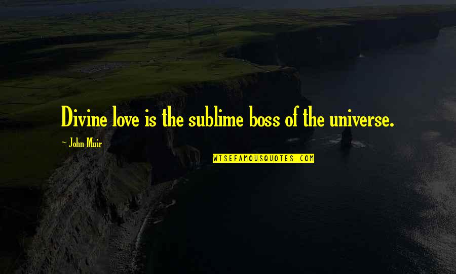 Love My Boss Quotes By John Muir: Divine love is the sublime boss of the