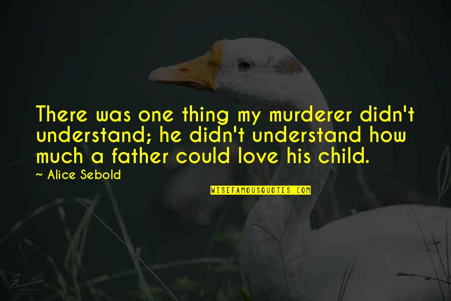 Love My Child Quotes By Alice Sebold: There was one thing my murderer didn't understand;