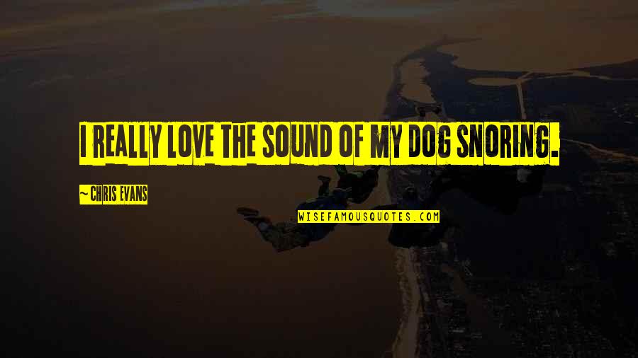 Love My Dog Quotes By Chris Evans: I really love the sound of my dog