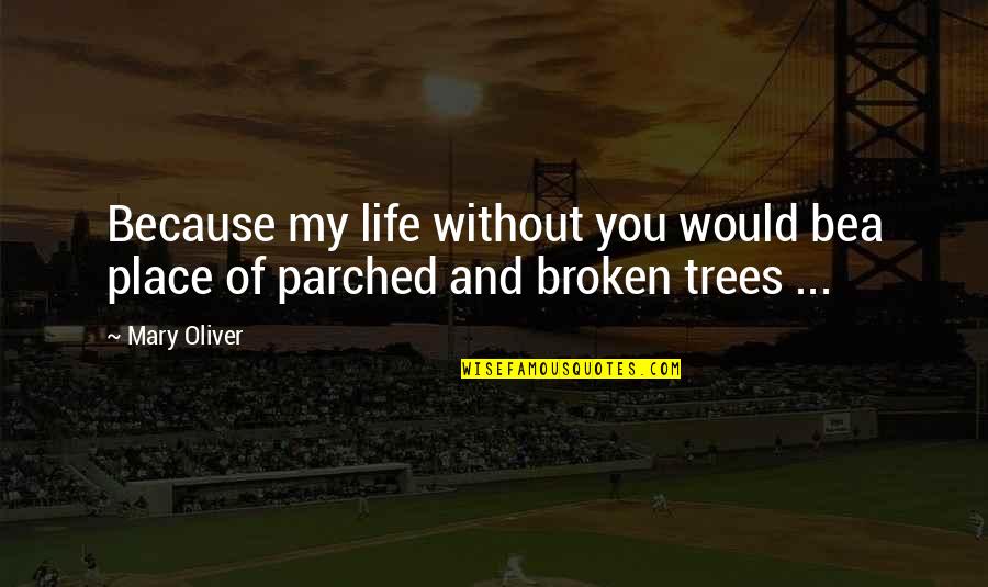 Love My Life Quotes By Mary Oliver: Because my life without you would bea place