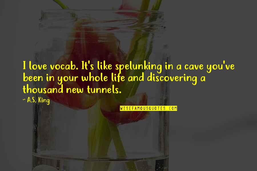 Love My New Life Quotes By A.S. King: I love vocab. It's like spelunking in a