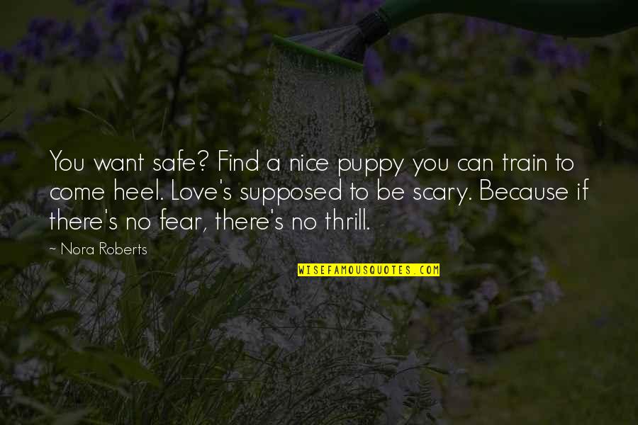 Love My Puppy Quotes By Nora Roberts: You want safe? Find a nice puppy you