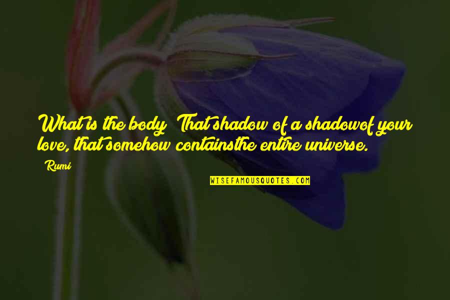 Love My Shadow Quotes By Rumi: What is the body? That shadow of a