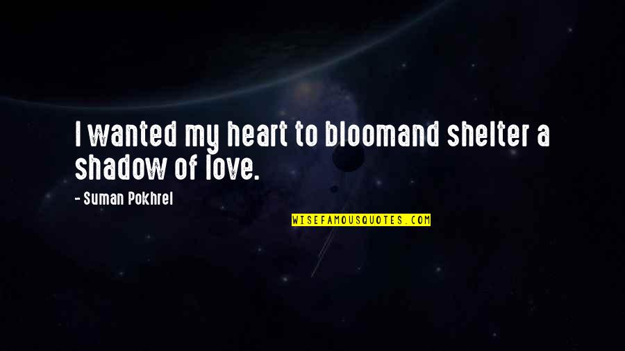 Love My Shadow Quotes By Suman Pokhrel: I wanted my heart to bloomand shelter a