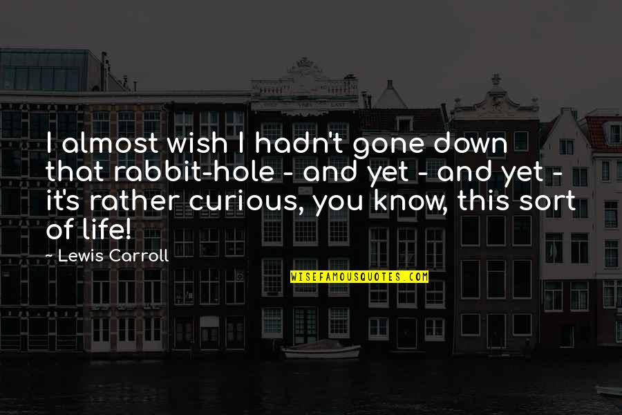 Love My Sis Quotes By Lewis Carroll: I almost wish I hadn't gone down that