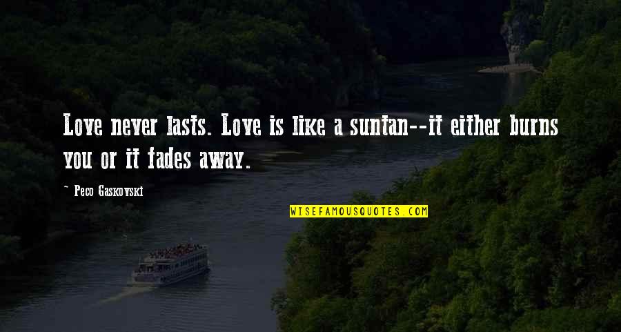 Love Never Fades Quotes By Peco Gaskovski: Love never lasts. Love is like a suntan--it