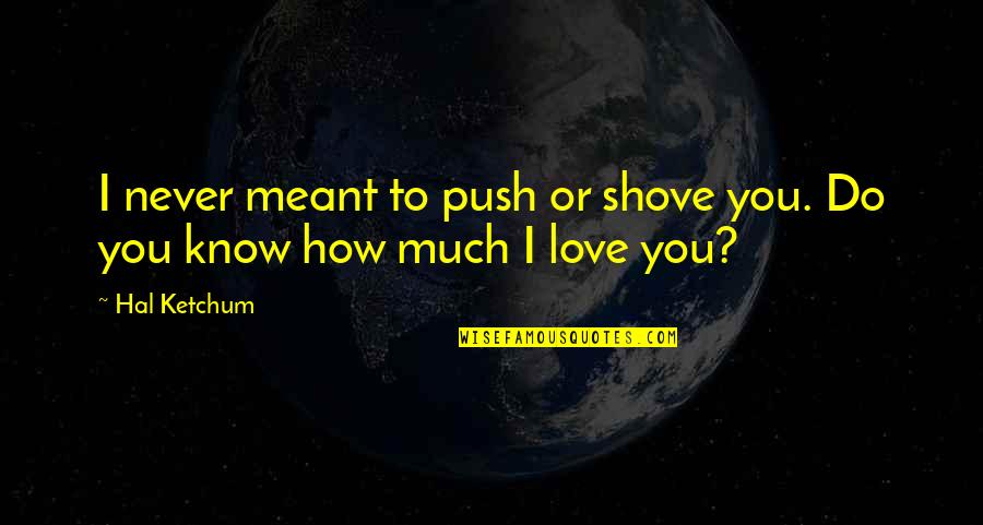 Love Never Meant To Be Quotes By Hal Ketchum: I never meant to push or shove you.