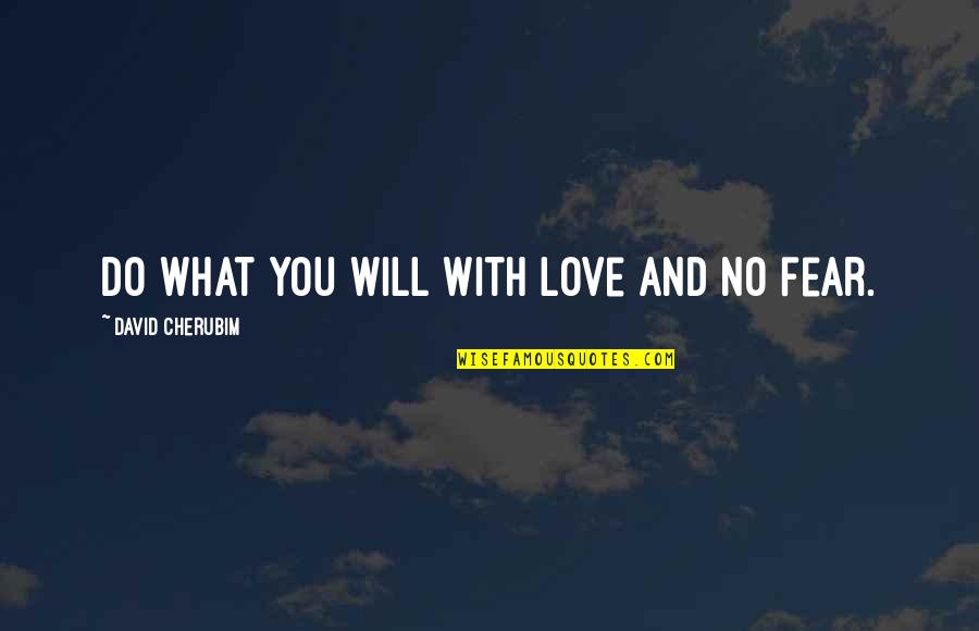 Love No Fear Quotes By David Cherubim: Do what you Will with love and no