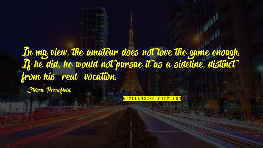 Love Not Real Quotes By Steven Pressfield: In my view, the amateur does not love