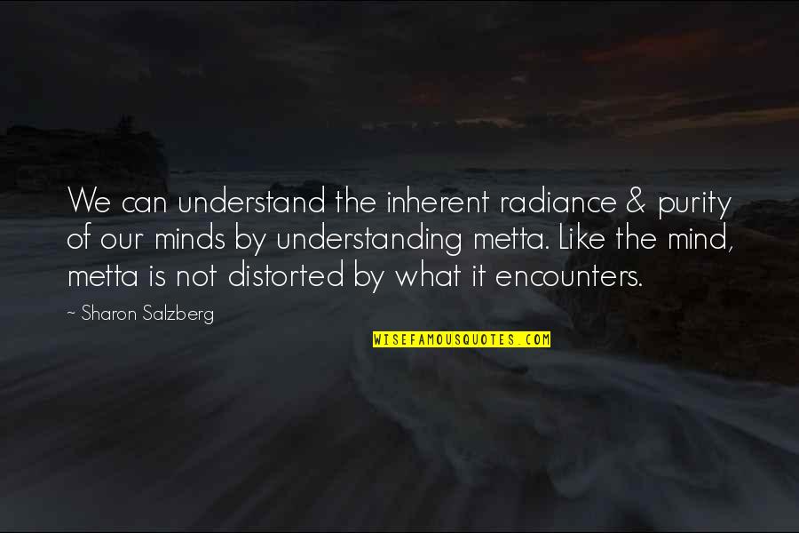 Love Not Understanding Quotes By Sharon Salzberg: We can understand the inherent radiance & purity