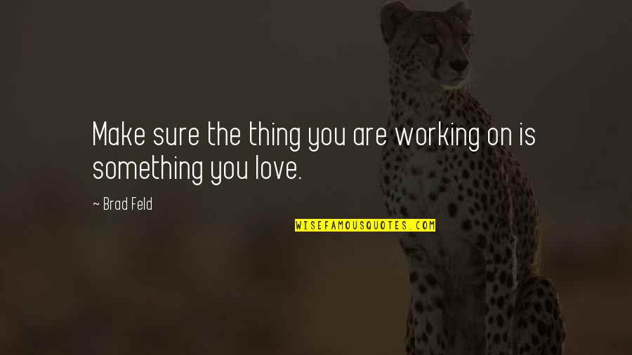 Love Not Working Quotes By Brad Feld: Make sure the thing you are working on