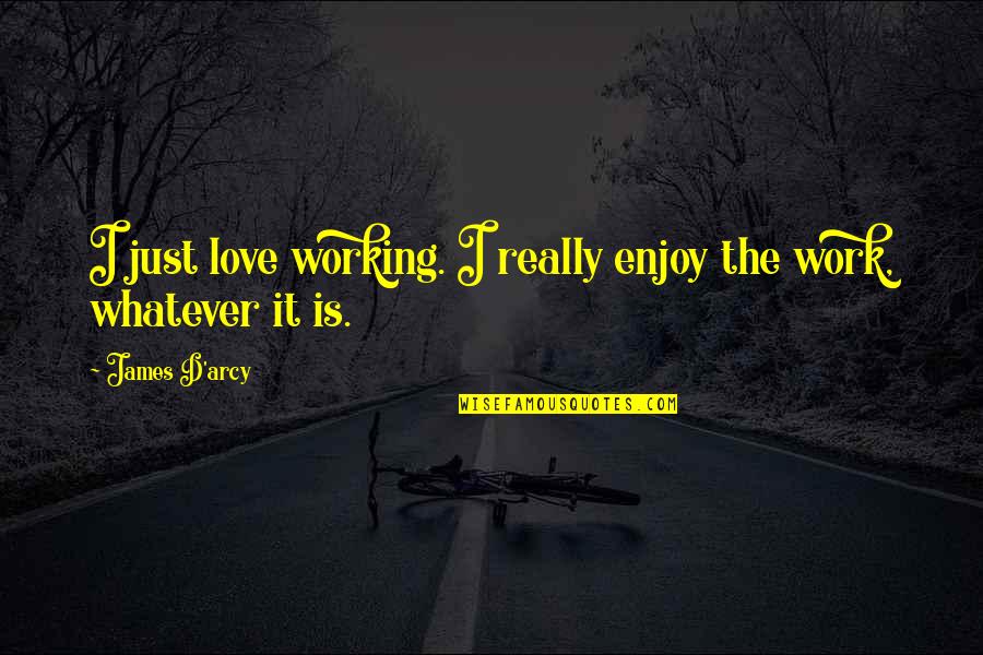 Love Not Working Quotes By James D'arcy: I just love working. I really enjoy the