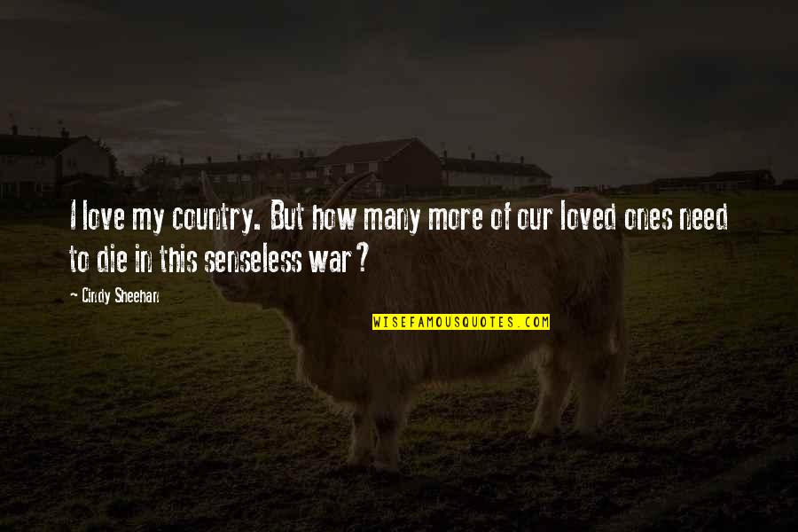Love Of Country Quotes By Cindy Sheehan: I love my country. But how many more Love Of Country Quotes By Cindy Sheehan: I love my country. But how many more