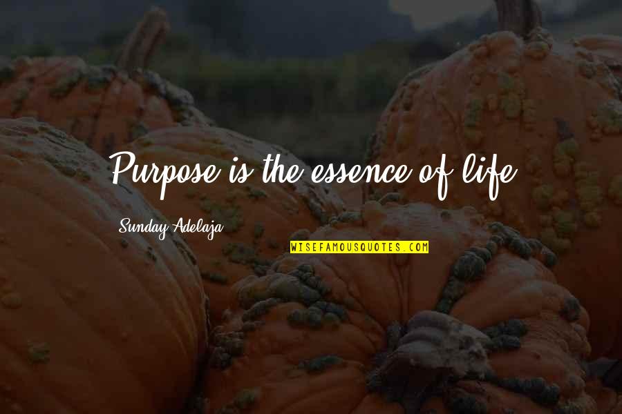 Love Of Money Quotes By Sunday Adelaja: Purpose is the essence of life