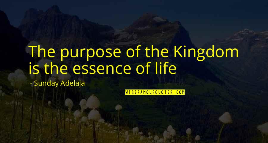 Love Of Work Quotes By Sunday Adelaja: The purpose of the Kingdom is the essence