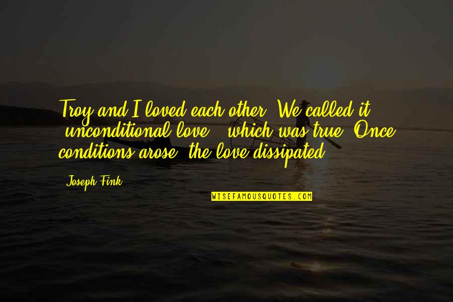 Love Once Quotes By Joseph Fink: Troy and I loved each other. We called