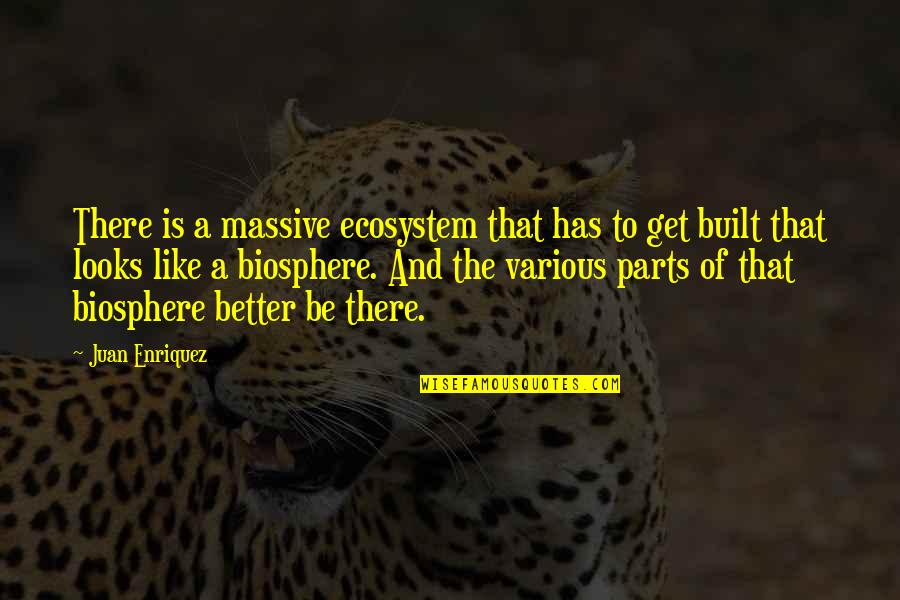 Love Overcomes Quotes By Juan Enriquez: There is a massive ecosystem that has to