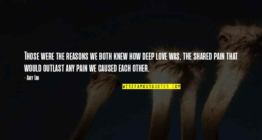 Love Pain Quotes By Amy Tan: Those were the reasons we both knew how