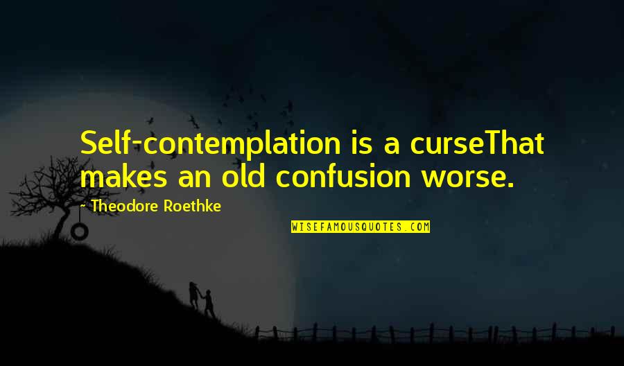 Love Peace Smile Quotes By Theodore Roethke: Self-contemplation is a curseThat makes an old confusion
