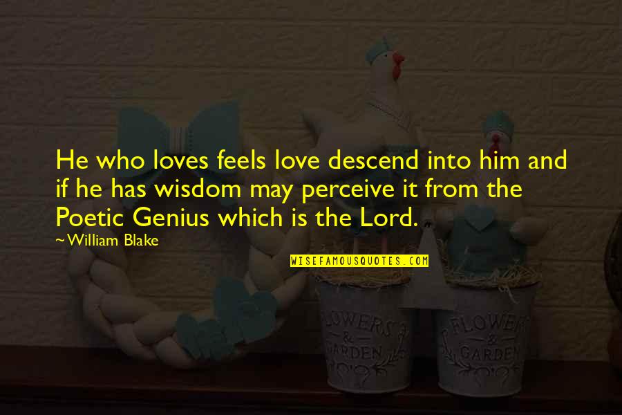 Love Perceive Quotes By William Blake: He who loves feels love descend into him