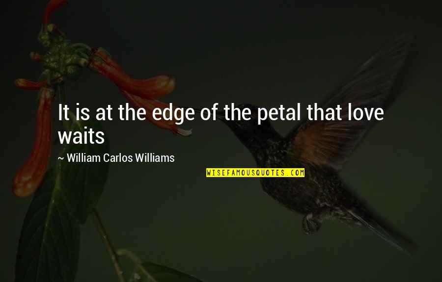 Love Petal Quotes By William Carlos Williams: It is at the edge of the petal