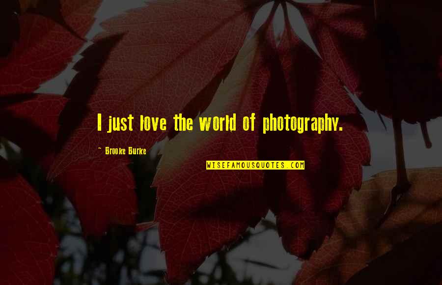 Love Photography Quotes By Brooke Burke: I just love the world of photography.
