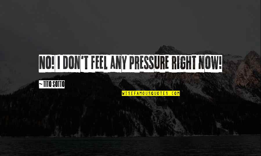 Love Phrases And Quotes By Tito Sotto: No! I don't feel any pressure right now!