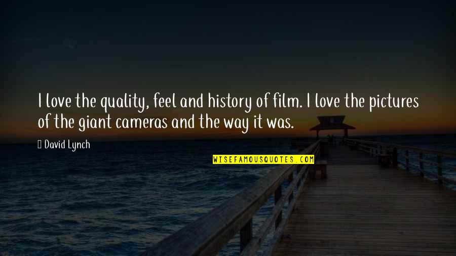 Love Pictures Quotes By David Lynch: I love the quality, feel and history of